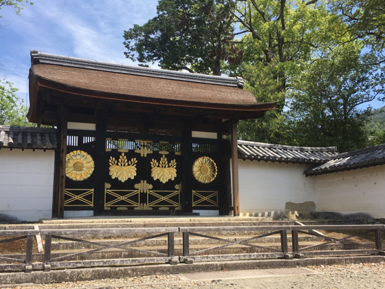京都 醍醐寺でのんびり~ 京都 醍醐寺でのんびり~