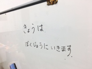 今日のおでかけ 今日のおでかけ