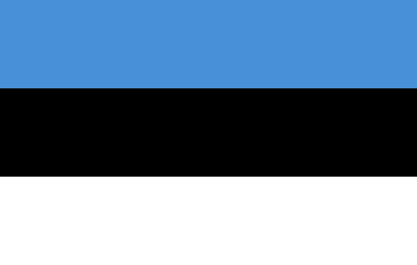 マイナンバー、電子政府...「浜松市」が目指すのは世界で一番進んでいる「エストニア」だ！