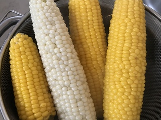 とうもろこしの季節だね〜 とうもろこしの季節だね〜