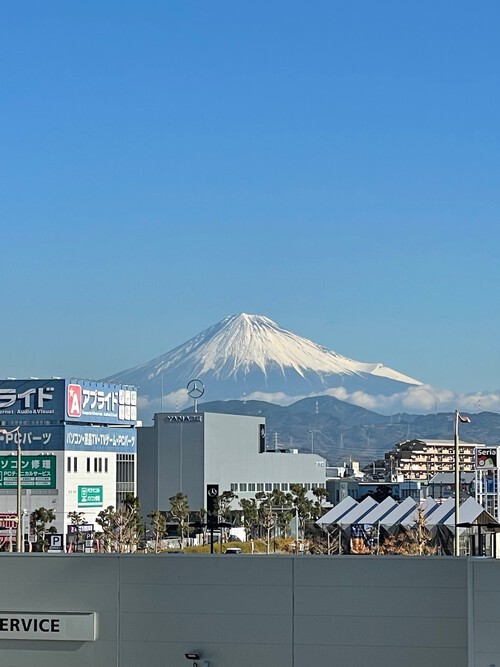 今年もお世話になりました! 今年もお世話になりました!