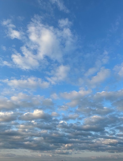 今年も夏レギンスパンツが入りました! 今年も夏レギンスパンツが入りました!