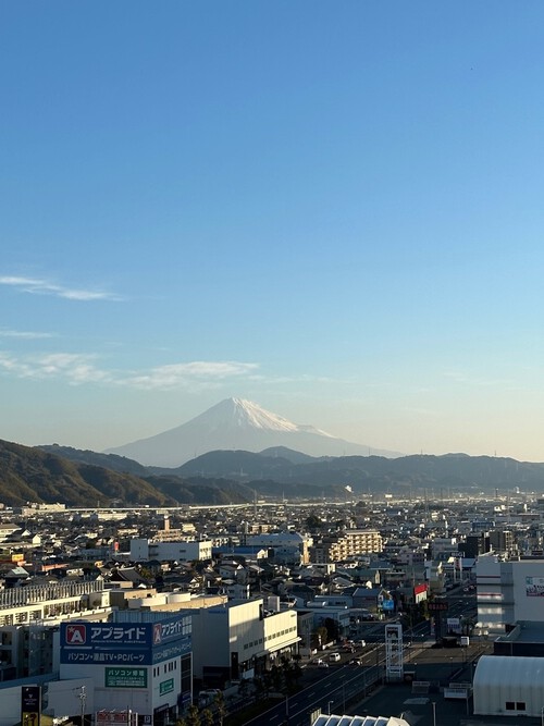 ほぼ完売しました、この春夏のENFŐLD、の新作をご紹介 ほぼ完売しました、この春夏のENFŐLD、の新作をご紹介