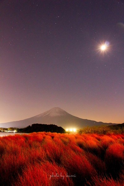 紅葉と富士山　