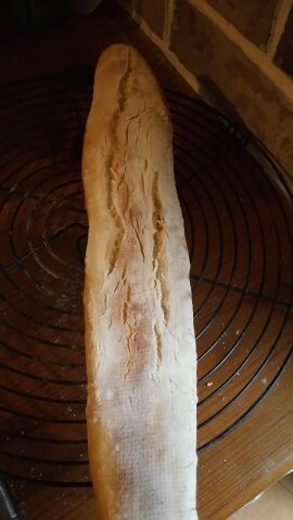 フランスパン⑦ フランスパン⑦