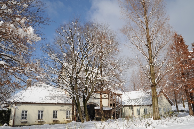 雪国へ初詣旅行❢ 雪国へ初詣旅行❢