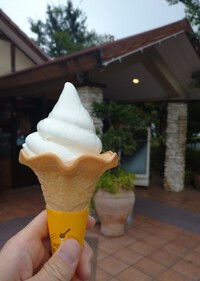 夏！長坂養蜂場のソフトクリーム、ホビーゾーンイオン志都呂