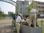 アクト通り花くらぶ今日の活動(4)