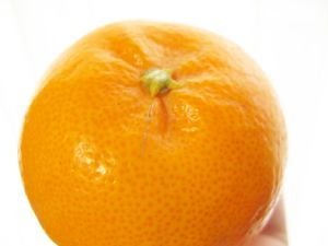 農場直送