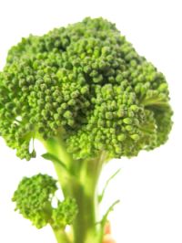 農場直送