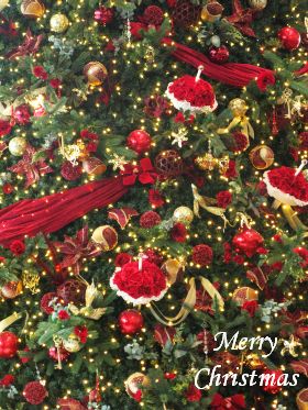 クリスマスあれこれ