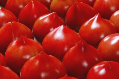 トマトと新鮮野菜市開催 自然から元気 ルネッサンストマト イベント 設楽町