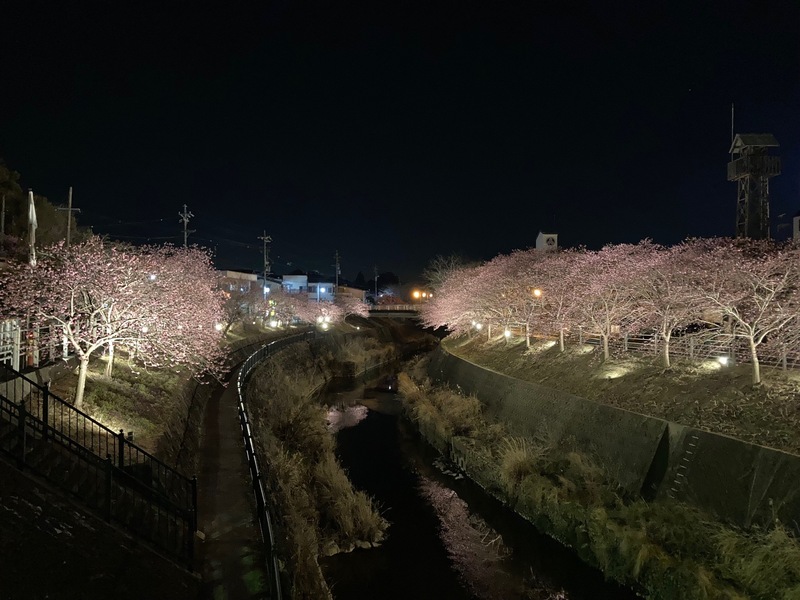 掛川城のライトアップ