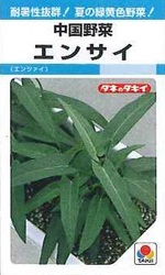 夏バテ防止!健康野菜の苗(葉菜類)! 夏バテ防止!健康野菜の苗(葉菜類)!