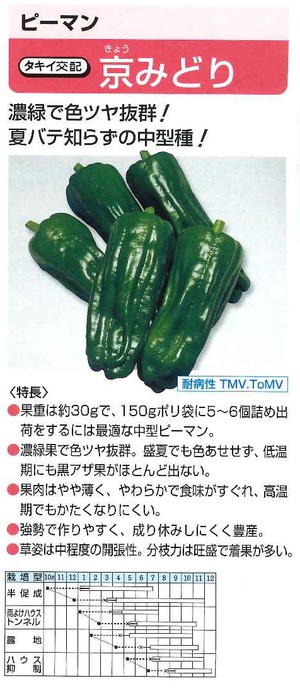 夏野菜の苗販売を始めました! 夏野菜の苗販売を始めました!