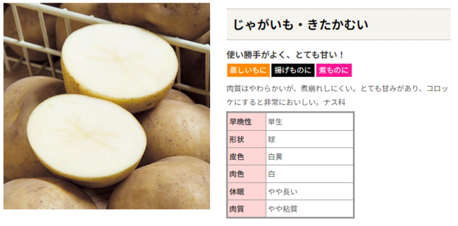 馬鈴薯(ｼﾞｬｶﾞｲﾓ)の種子芋(ﾀﾈｲﾓ)の販売予定品種が揃いました！