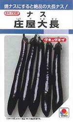 夏野菜の苗の販売を始めました! 夏野菜の苗の販売を始めました!