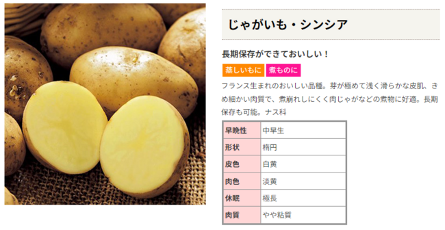 馬鈴薯(ｼﾞｬｶﾞｲﾓ)の種子芋(ﾀﾈｲﾓ)の販売予定品種が揃いました！