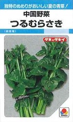 夏バテ防止!健康野菜の苗(葉菜類)! 夏バテ防止!健康野菜の苗(葉菜類)!