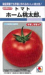 夏野菜の苗の販売を始めました! 夏野菜の苗の販売を始めました!