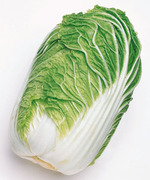 白菜のたねまき時期になりましたね!