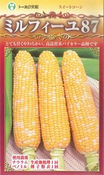 夏野菜の苗の販売を始めました! 夏野菜の苗の販売を始めました!