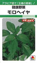 夏バテ防止!健康野菜の苗(葉菜類)! 夏バテ防止!健康野菜の苗(葉菜類)!