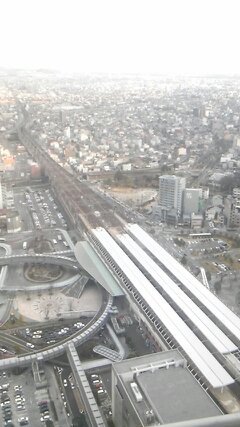 懐かしい写真達・・・ 懐かしい写真達・・・