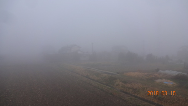 霧の朝　