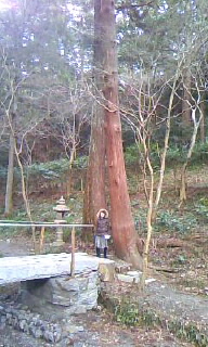 小宮山~だんご