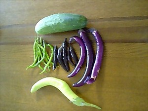 家庭菜園の恵み