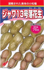 春蒔き豆類の蒔き時　～落花生(ﾗｯｶｾｲ)～