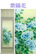 紫陽花