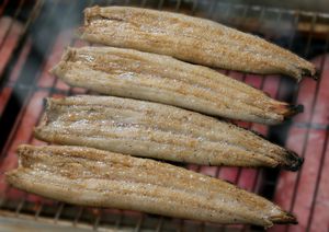 冬の土用の丑♪