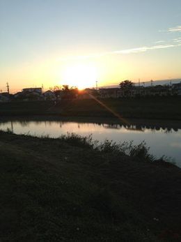 Morning walk