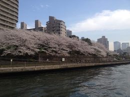 隅田川