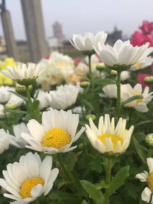 今月は変化の月 今月は変化の月