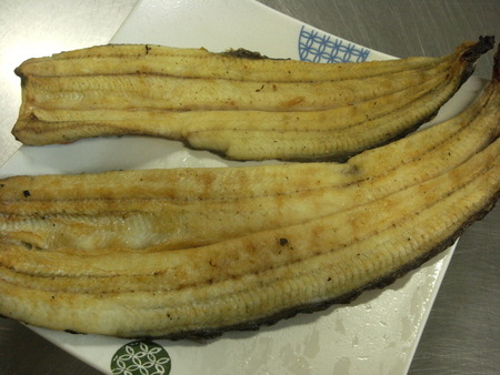 8/20はお買い得の日!