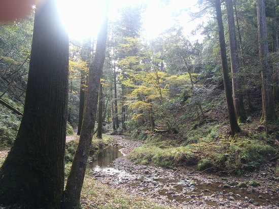 阿寺の七滝散策路は美しい紅葉と静かな川のせせらぎの癒しの空間 阿寺の七滝散策路は美しい紅葉と静かな川のせせらぎの癒しの空間