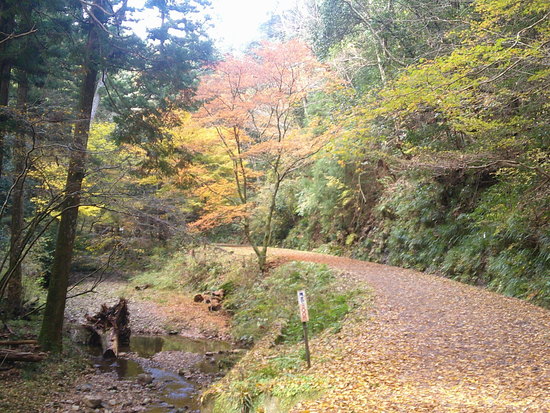 阿寺の七滝散策路は美しい紅葉と静かな川のせせらぎの癒しの空間 阿寺の七滝散策路は美しい紅葉と静かな川のせせらぎの癒しの空間