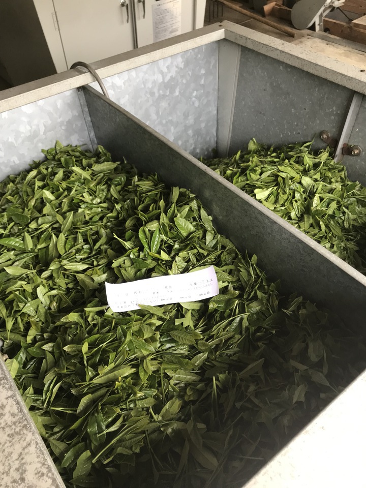 【春野】お茶の収穫・製茶作業