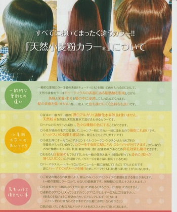 【業界初】大坂なおみ割引き! 【業界初】大坂なおみ割引き!
