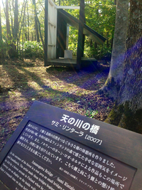 ヨガ！北海道の旅、十勝千年の森