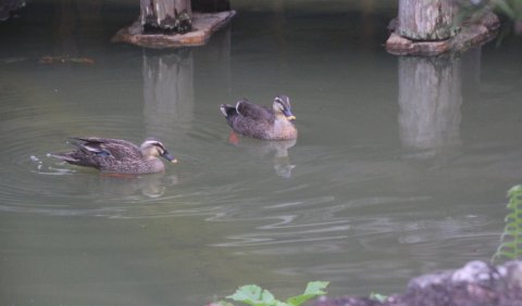 久しぶり… 元気? 久しぶり… 元気?