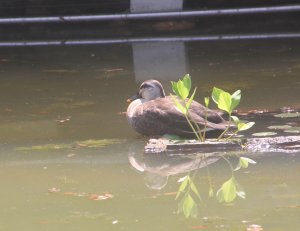 久しぶり… 元気? 久しぶり… 元気?