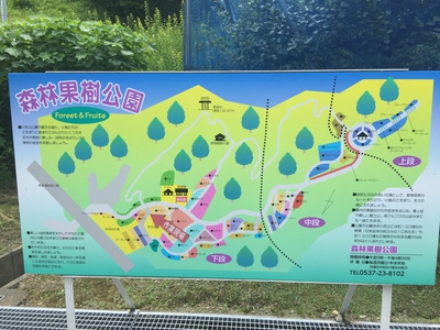 掛川森林果樹公園　アトリエに行ってきました。