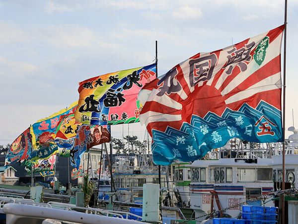 フライ旗舞う南浜名湖MAISAKA&BENTENJIMA フライ旗舞う南浜名湖MAISAKA&BENTENJIMA