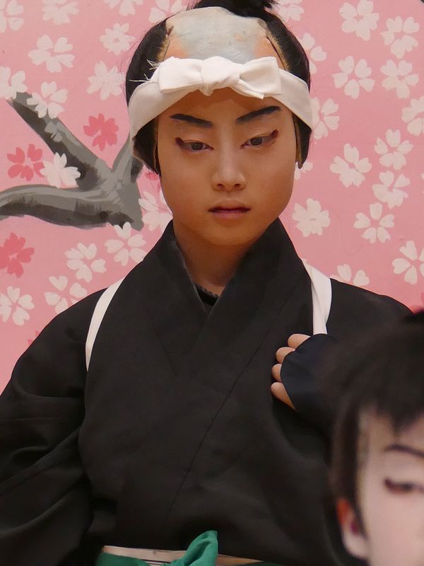 「弁天娘女男白浪 稲瀬川勢揃の場」役者さん紹介 「弁天娘女男白浪 稲瀬川勢揃の場」役者さん紹介