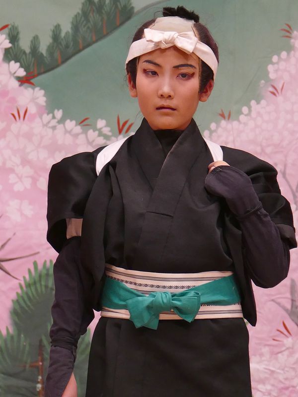 「弁天娘女男白浪 稲瀬川勢揃の場」役者さん紹介 「弁天娘女男白浪 稲瀬川勢揃の場」役者さん紹介