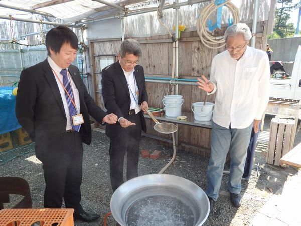 自分で作ると更に美味しいよ!釜揚げしらす丼 海湖館きらく市食堂 「しらす釜揚げ体験」 自分で作ると更に美味しいよ!釜揚げしらす丼 海湖館きらく市食堂 「しらす釜揚げ体験」